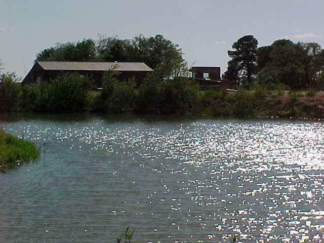 Looking West at the southwest type house, sun reflecting off the pond in mid summer.