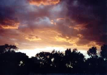 Another beautiful sunset over the top of the trees.